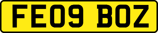 FE09BOZ