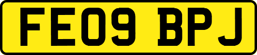 FE09BPJ