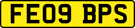 FE09BPS