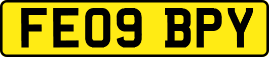 FE09BPY