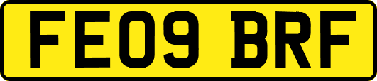 FE09BRF