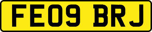 FE09BRJ