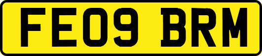 FE09BRM