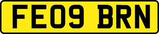 FE09BRN