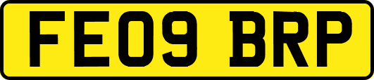 FE09BRP
