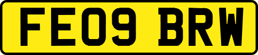 FE09BRW