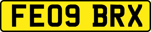 FE09BRX