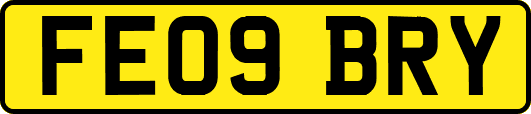 FE09BRY