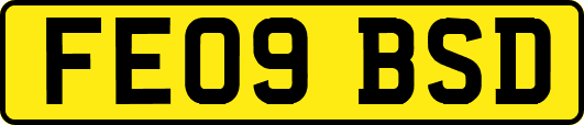 FE09BSD