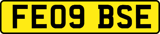 FE09BSE
