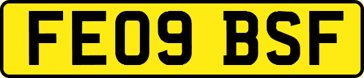 FE09BSF