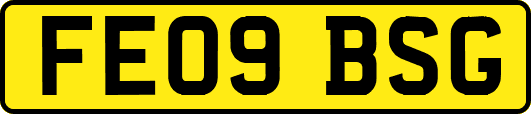 FE09BSG