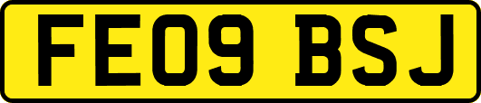 FE09BSJ