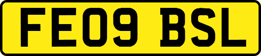 FE09BSL