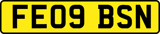FE09BSN
