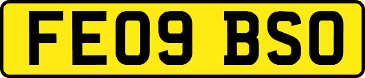 FE09BSO