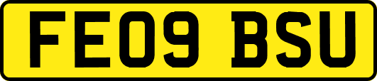 FE09BSU