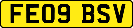 FE09BSV
