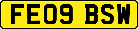 FE09BSW