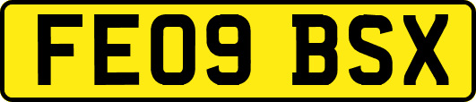 FE09BSX
