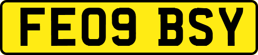 FE09BSY