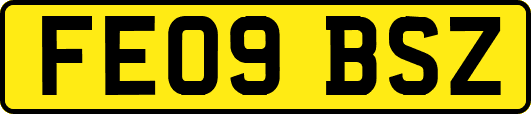 FE09BSZ