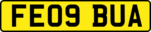 FE09BUA
