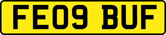 FE09BUF