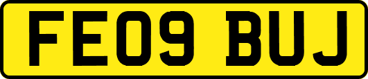 FE09BUJ