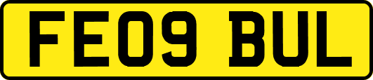 FE09BUL