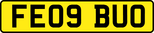 FE09BUO