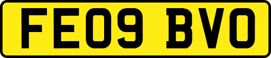 FE09BVO