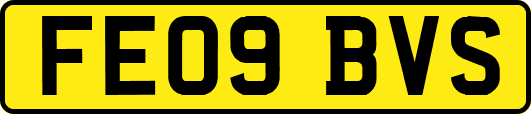 FE09BVS