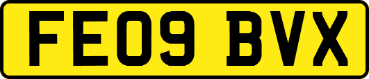 FE09BVX