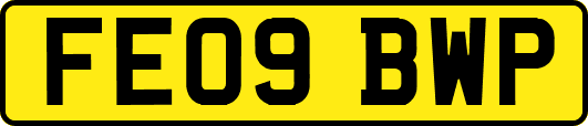 FE09BWP
