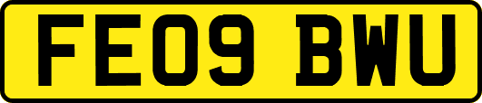 FE09BWU