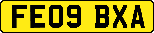 FE09BXA