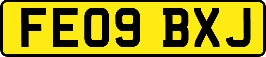 FE09BXJ