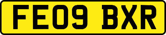 FE09BXR