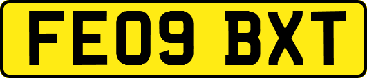 FE09BXT