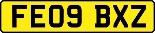 FE09BXZ