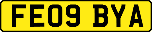 FE09BYA