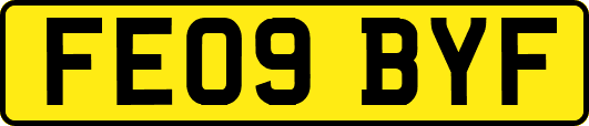 FE09BYF