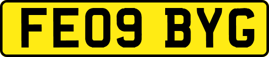 FE09BYG