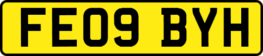 FE09BYH