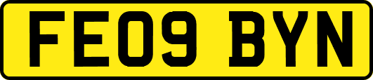FE09BYN