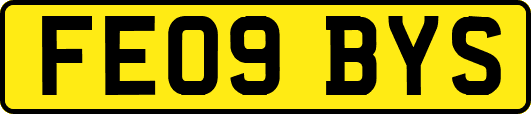 FE09BYS