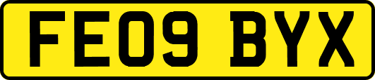 FE09BYX