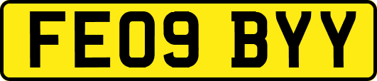 FE09BYY