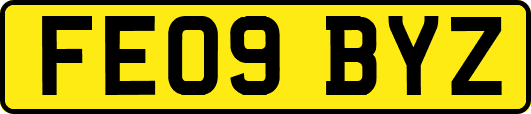 FE09BYZ